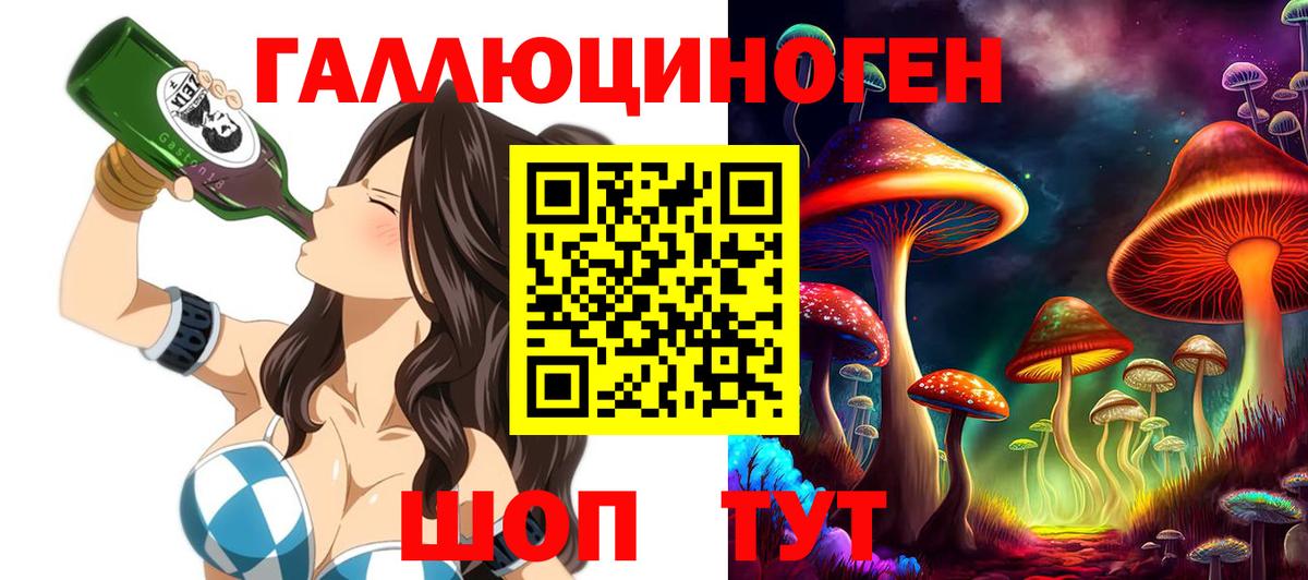 Галлюциногенные грибы Psilocybine cubensis Коммунар
